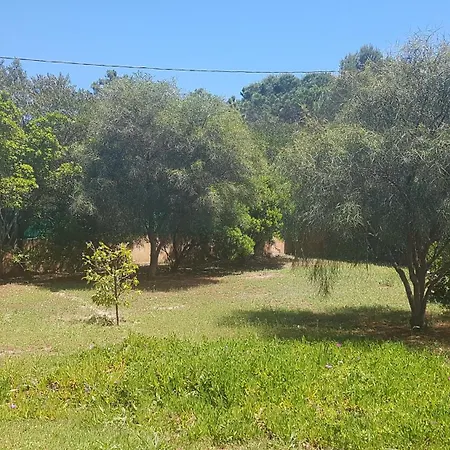 Villa Les Arbousiers *